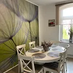 In Appartement Erfurt