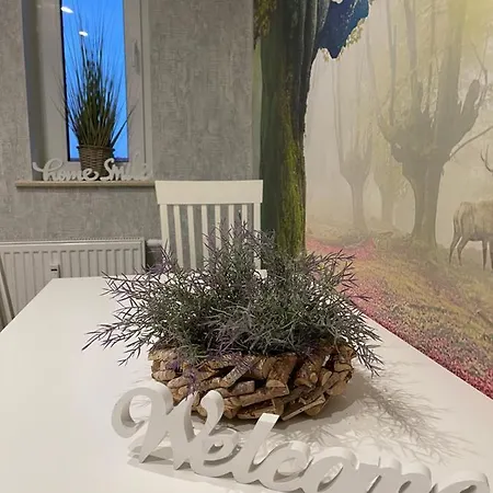 In * Ερφούρτη